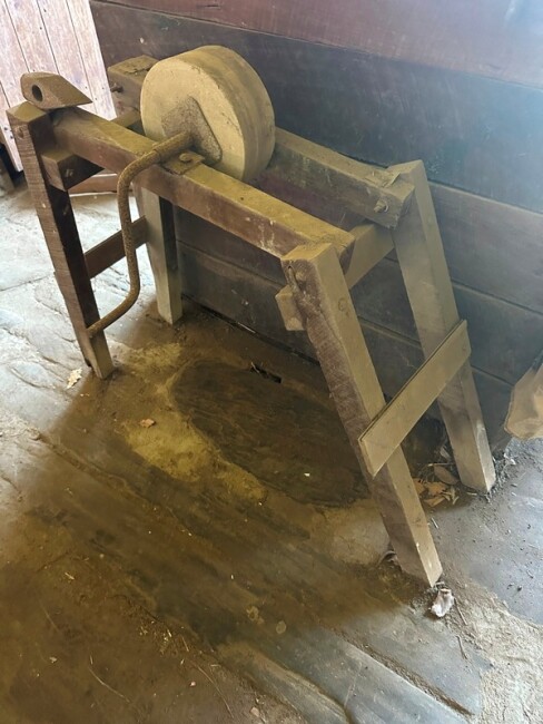 p61