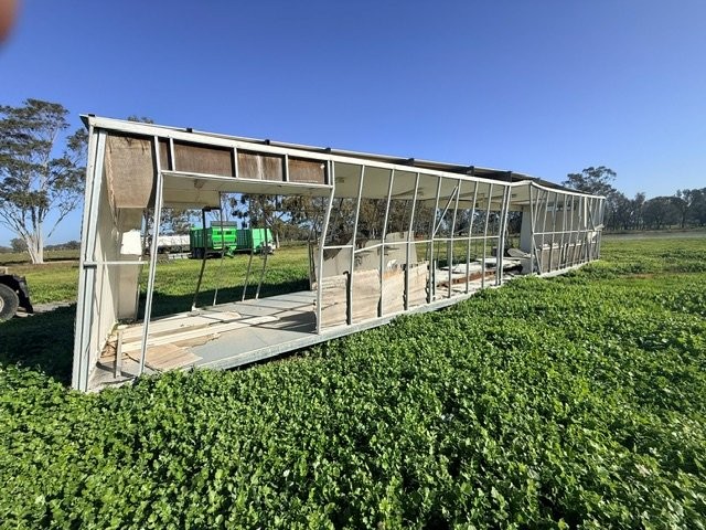 IMG 0313
