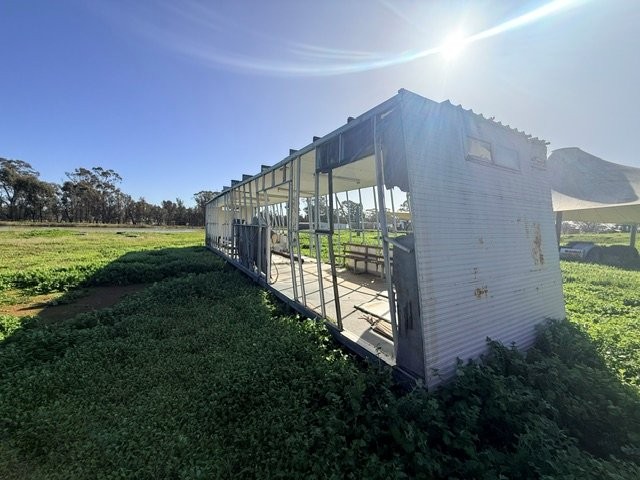 IMG 0314