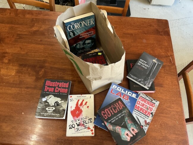 Lot 101 Bag of books