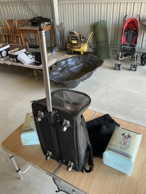 Lot 110 Pooch Transporter