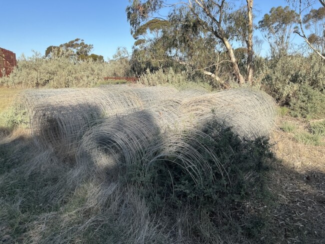Lot 21