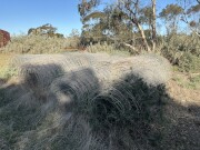 Lot 21