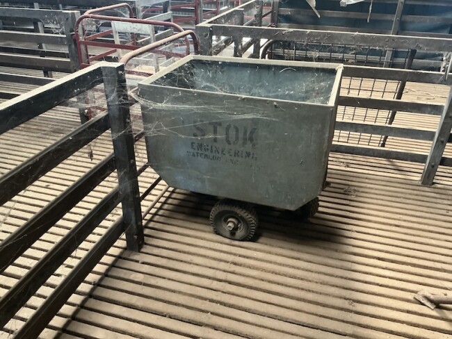 Lot 55