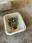 Lot 208