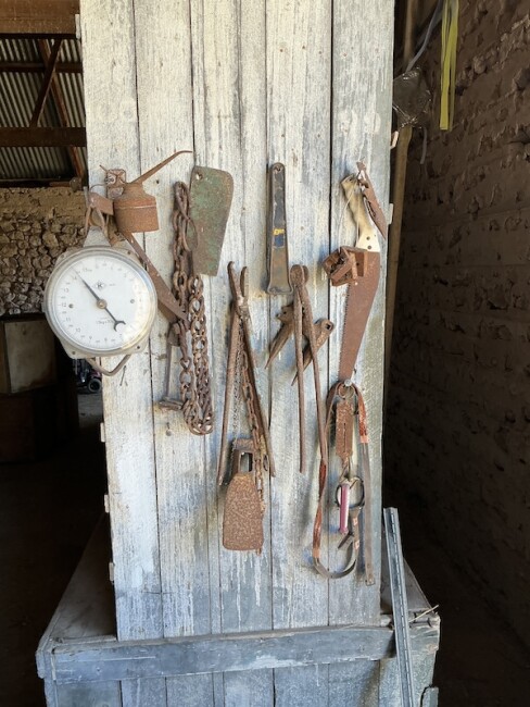 Lot 252