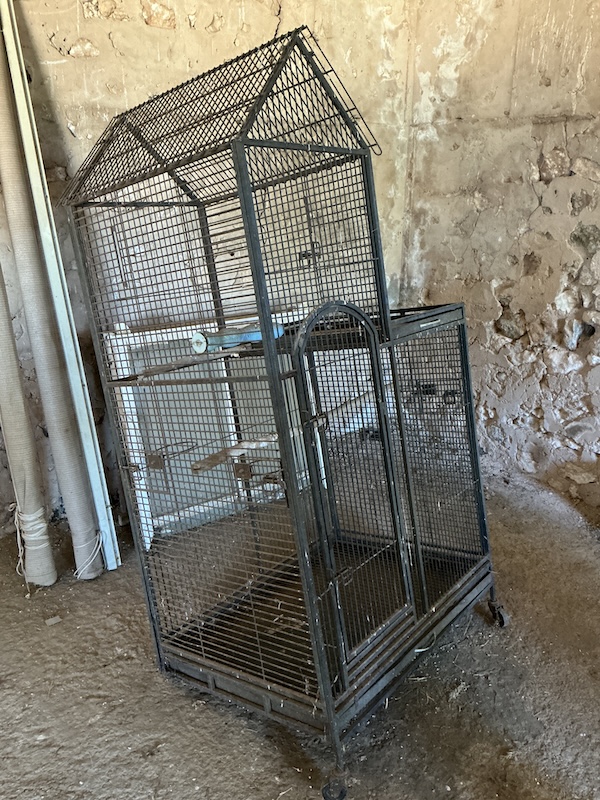 Lot 256