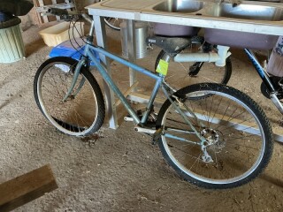 Lot 294