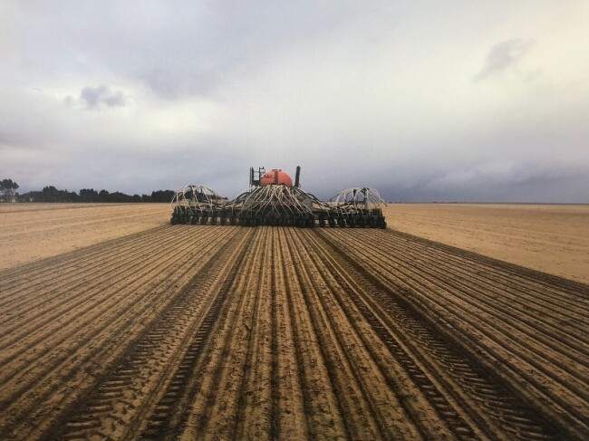 Lot 31 5