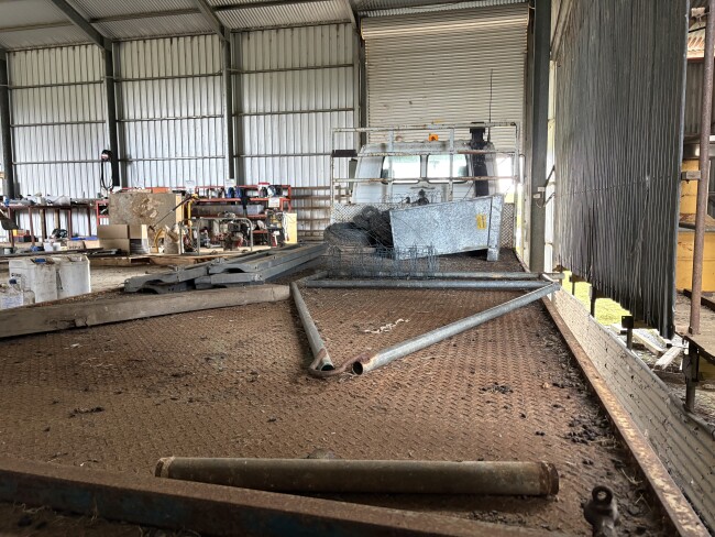 Lot 91 6