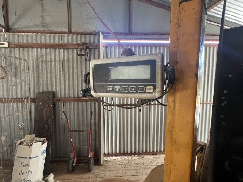 Lot 69 3