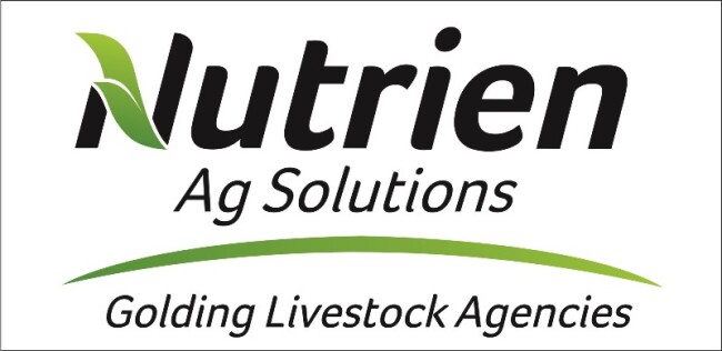 aa Nutrien Golding Large MEDIUM