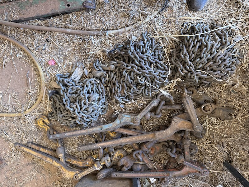 119 Chains x 3 with 7 x dogs