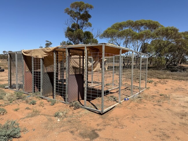 150 Dog cage 4 pens 3