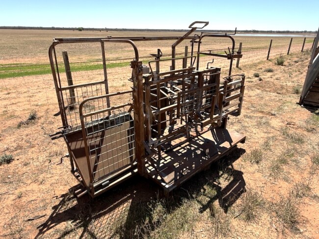 161a Peak Hill crutching sheep handling cradle 4