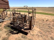 161b Peak Hill crutching sheep handling cradle 5