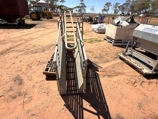 162c Peak Hill immobilizer sheep worker 6