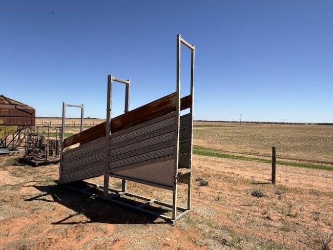 166 Sheep loading ramp