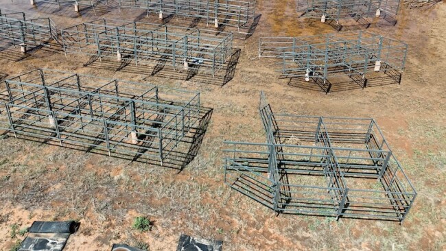 167b Sheep pen modules x 40 pens 2