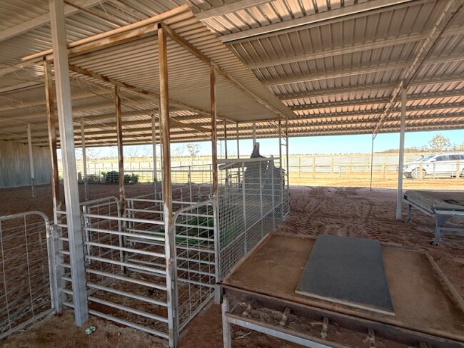 167c Sheep pen modules x 40 pens 3