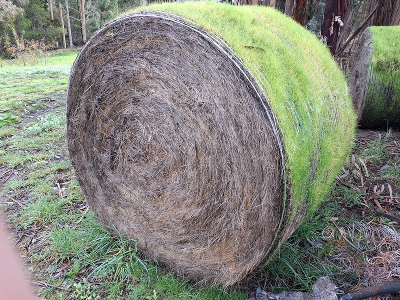 217 2