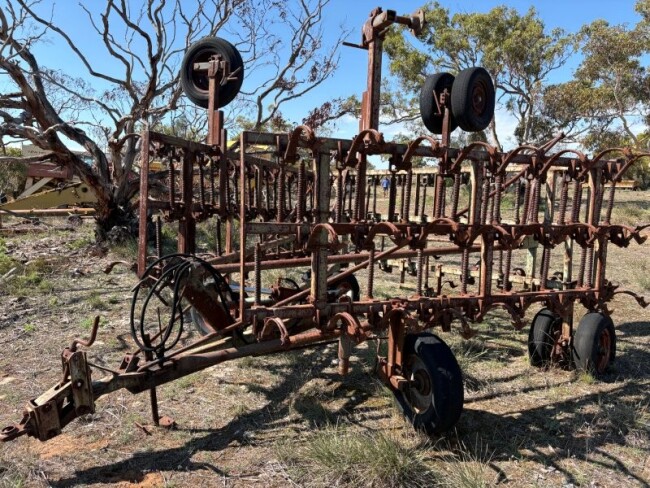 Lot 20.1