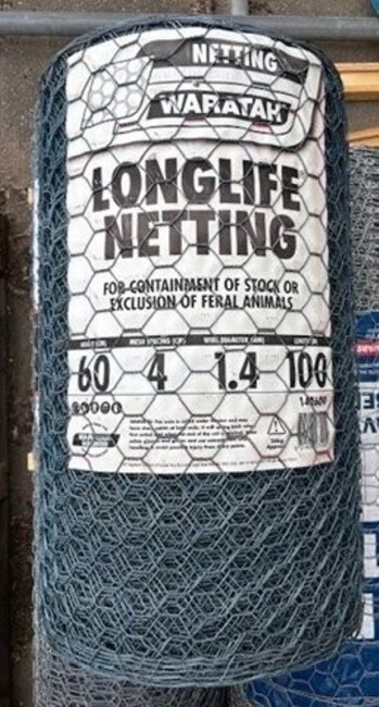 Lot 38