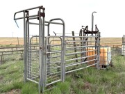 043 93 Cattle crush 2