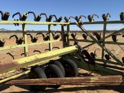 17h Allfarm 50 cultivator bar 7