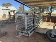 27a Tepari Racewell sheep handler