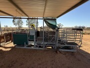 27b Tepari Racewell sheep handler 11