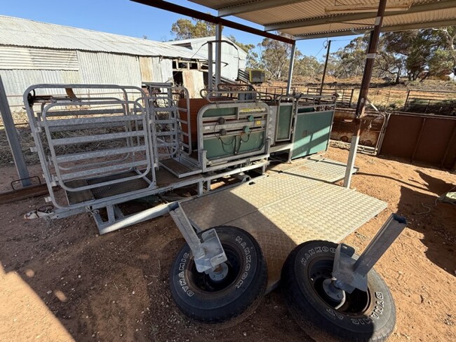 27c Tepari Racewell sheep handler 12