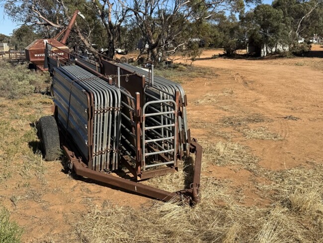 30a Magnus 20 panel mobile sheep yards 2
