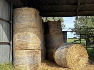 026 Hay