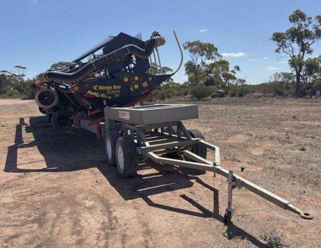 04 HoneyBee Front 3