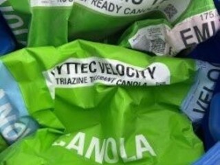 37 Canola Seed Emu Mixed