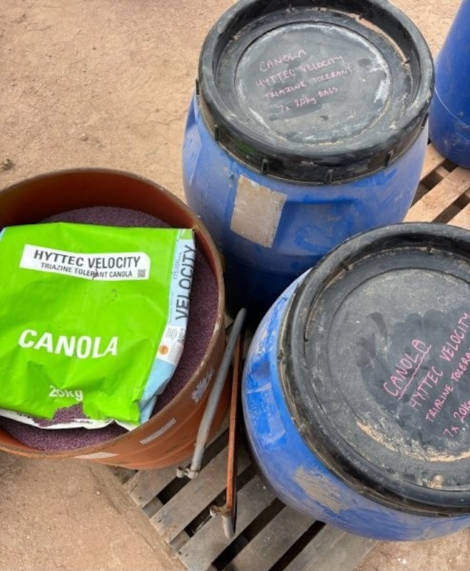 38 Canola Seed Velocity