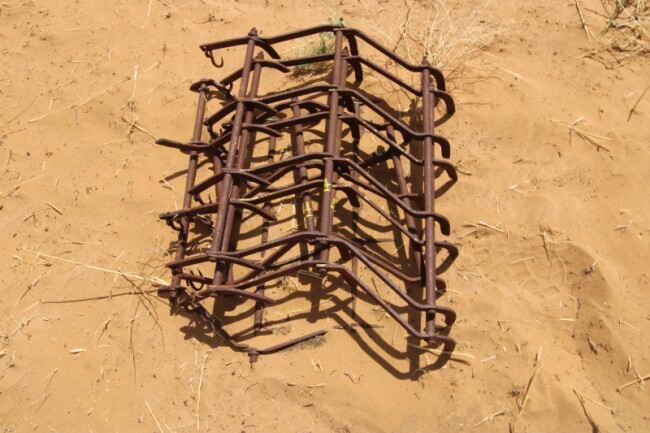 04 Sandalwood Cawthorne