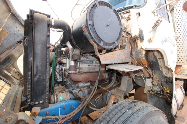 98e Sandalwood Cawthorne