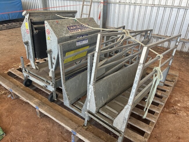 Peak Hill Immobilizer sheep worker 