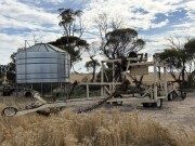 021a Cunningham Prickle Chain