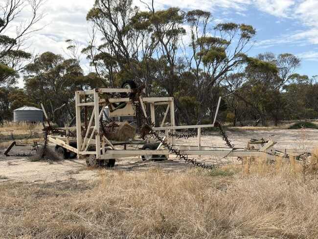 021b Cunningham Prickle Chain 2