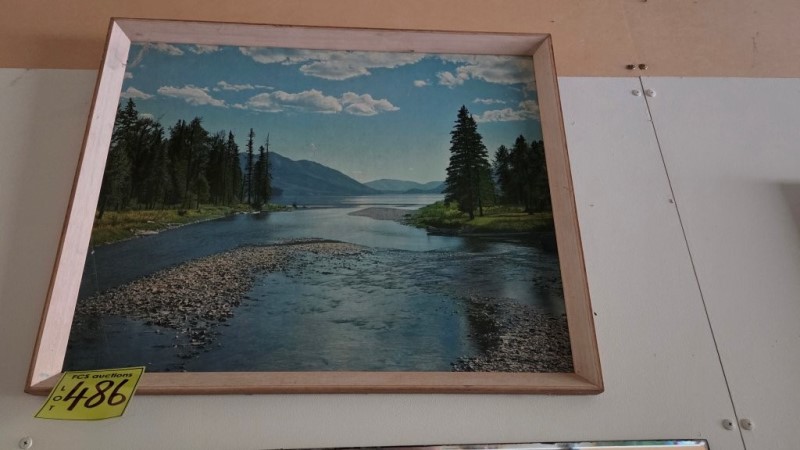 Lot 486 