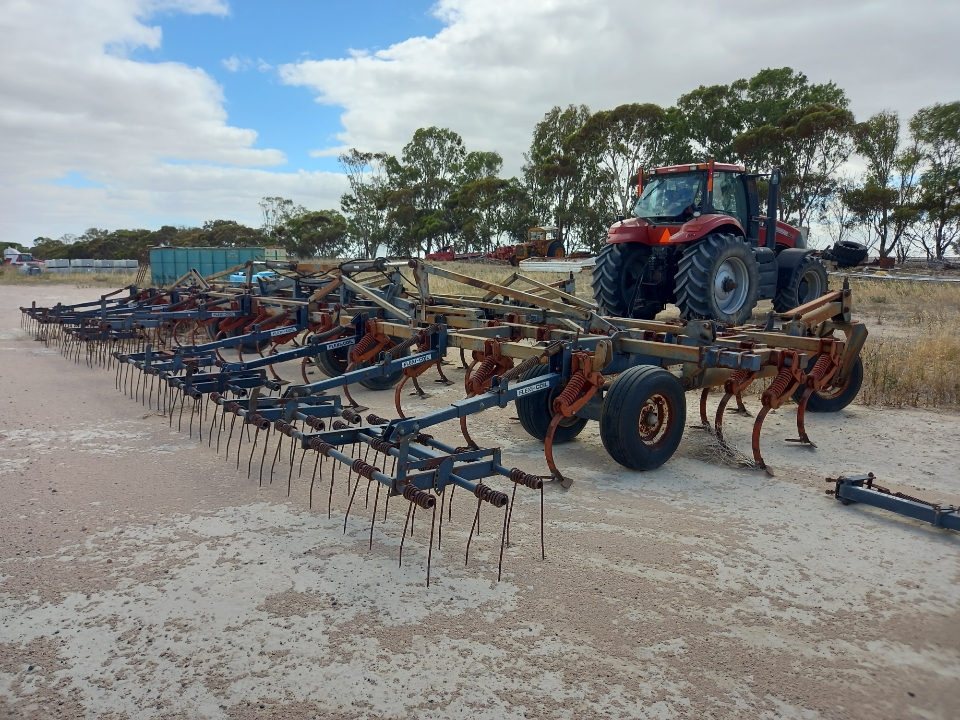 Resized 20250116 102908