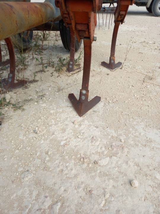 Resized Resized 20250116 102824