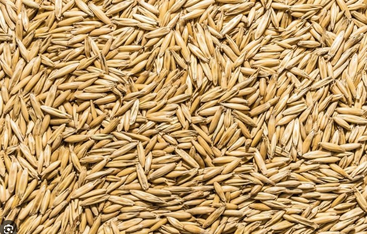 Oats