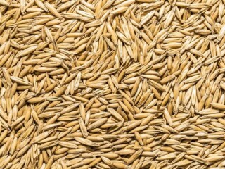 Oats