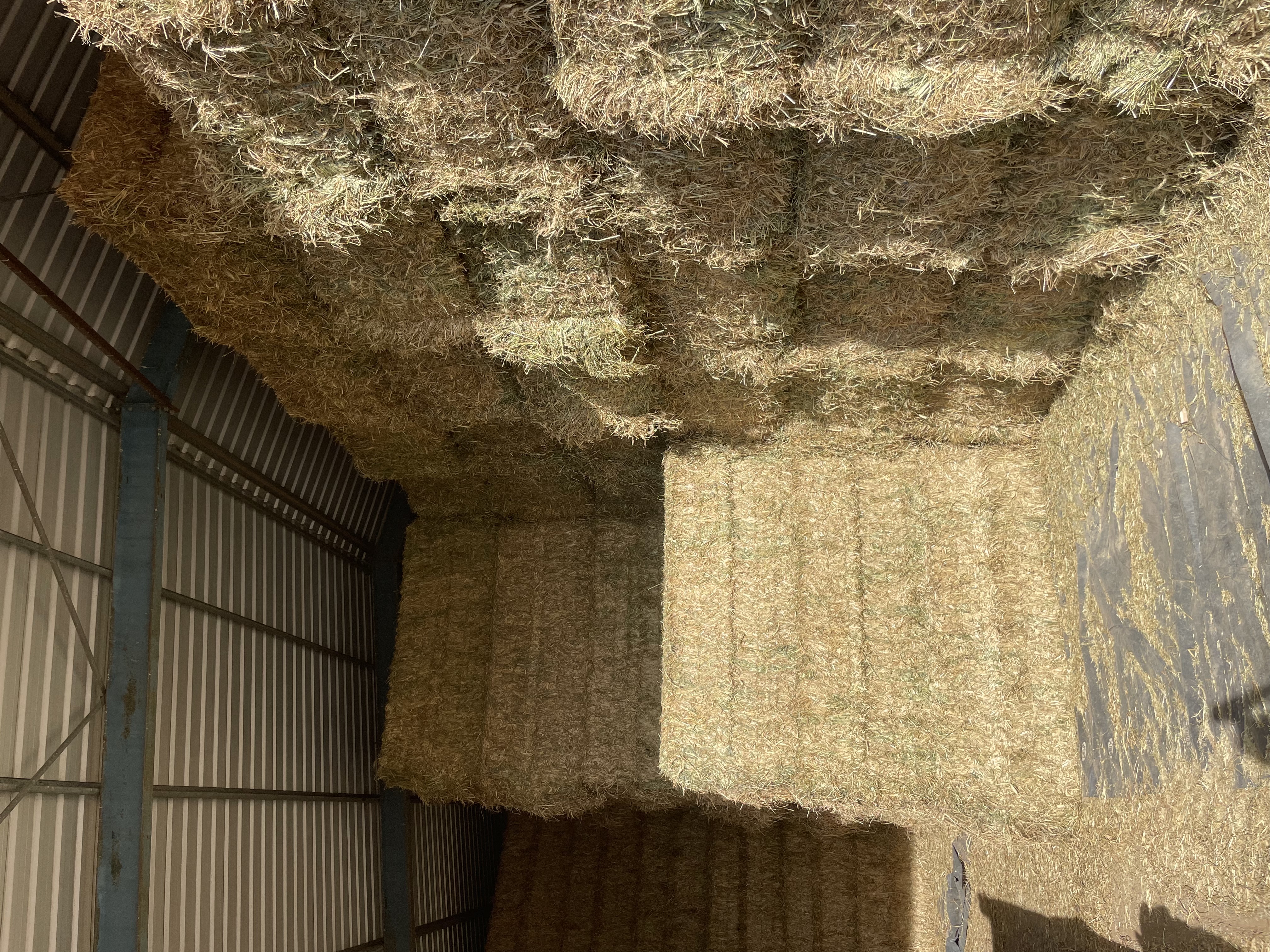 190E3667 FC7E 4FD7 8B75 C6988582DD5B