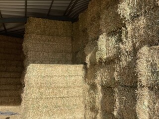 190E3667 FC7E 4FD7 8B75 C6988582DD5B