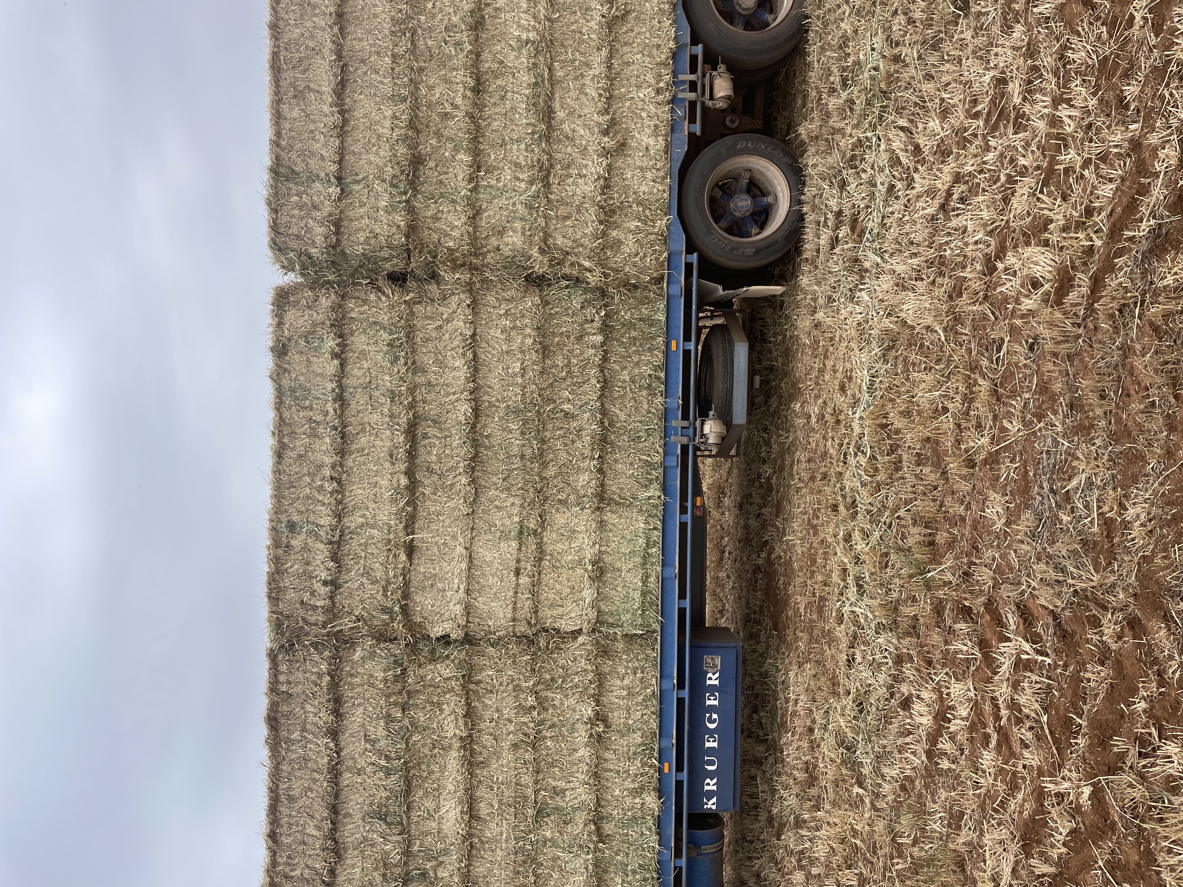 66403495 6F66 40D9 BD93 FEA631675BCE